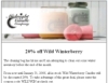 Midnight Soy Candles HTML Newsletter